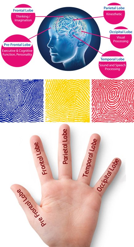 DMIT Assessment